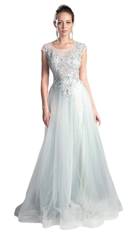 Plus size dresses for autumn days feel cozy -Cinderella Divine - Sheer Scoop Beaded Tulle A-Line Evening Gown